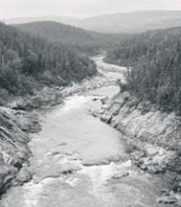 Silver Ghost,  Thaddeus Holownia; Anchorage Press